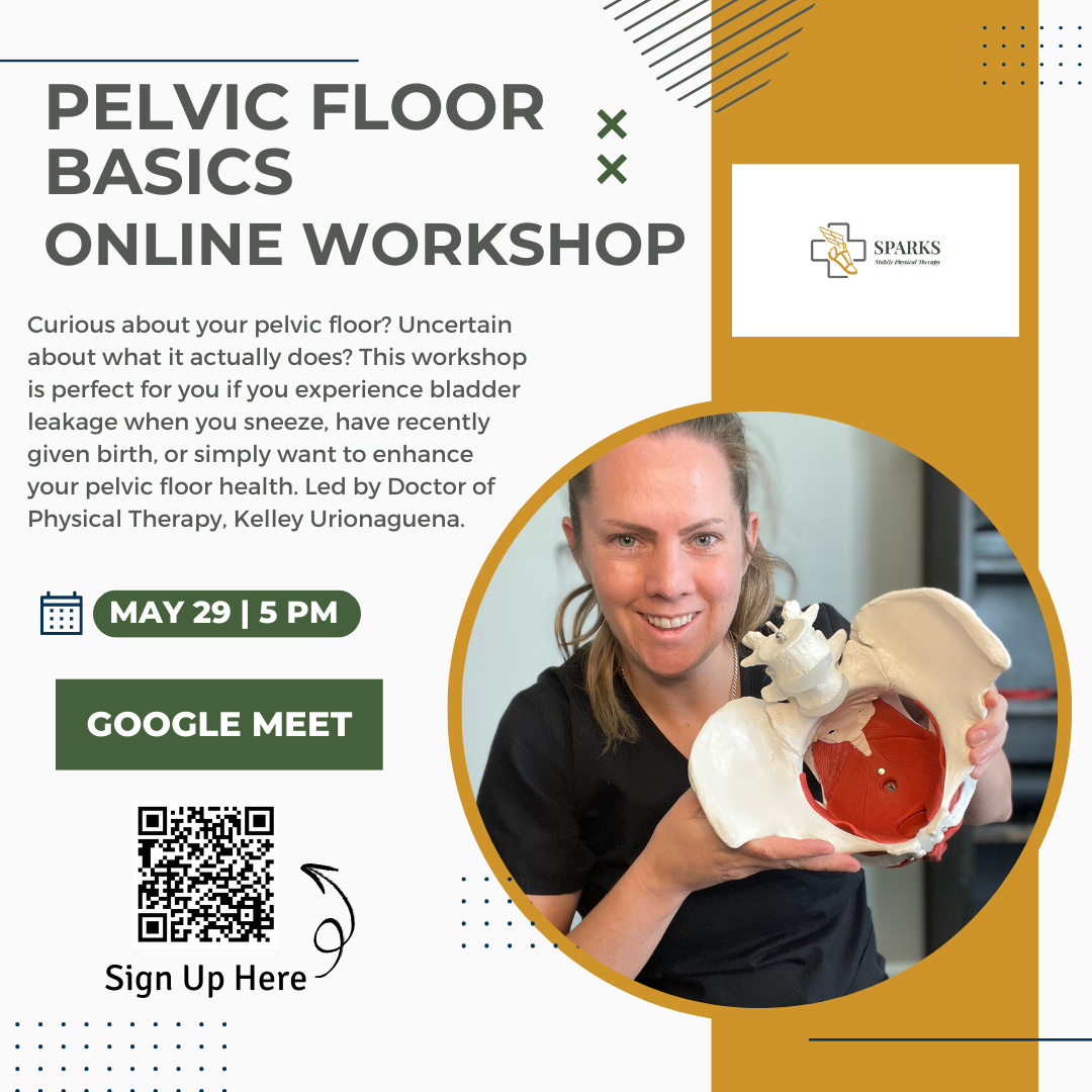 Pelvic Floor Online Workshop