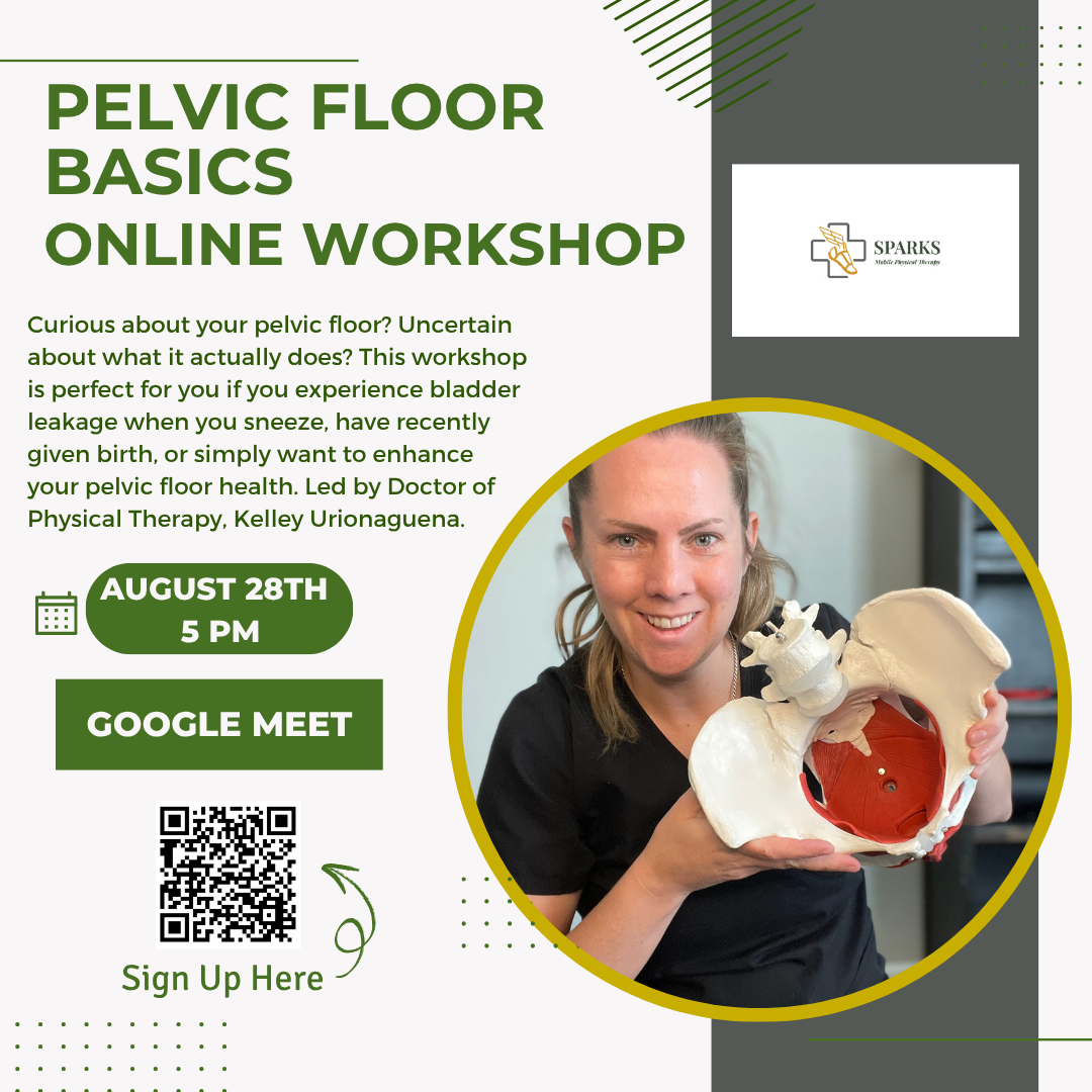 Pelvic floor Basics Online
